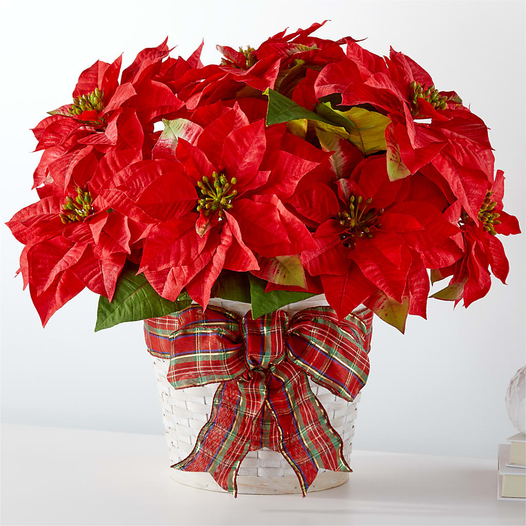 Happiest Holidays Poinsettia – Edith Vl, Minneapolis MN