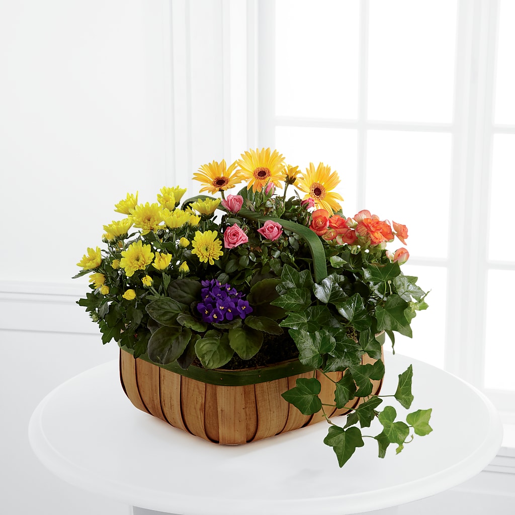 Gentle Blossoms Basket – Edith Vl, Minneapolis MN