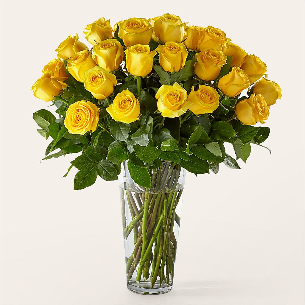 Long Stem Yellow Rose Bouquet – Edith Vl, Minneapolis MN
