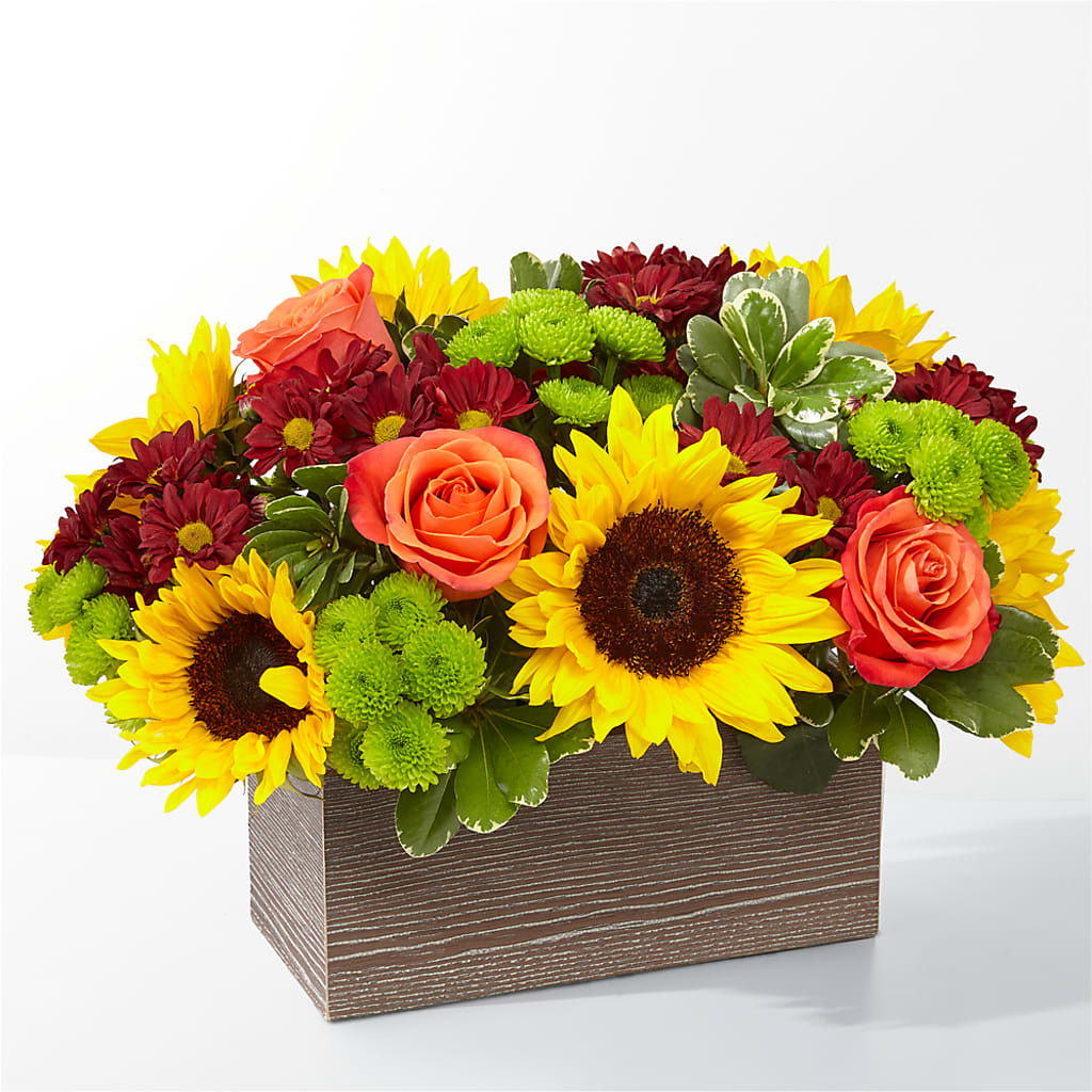Happy Harvest Garden – Edith Vl, Minneapolis MN