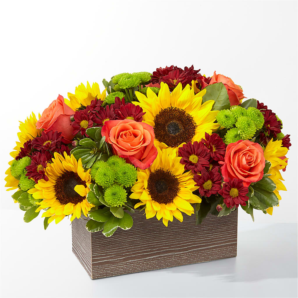 Happy Harvest Garden – Edith Vl, Minneapolis MN
