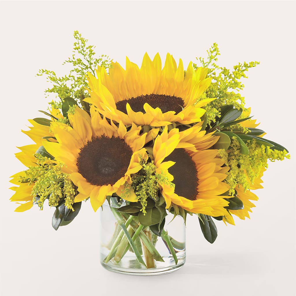 Beaming Sunflower Bouquet – Edith Vl, Minneapolis MN