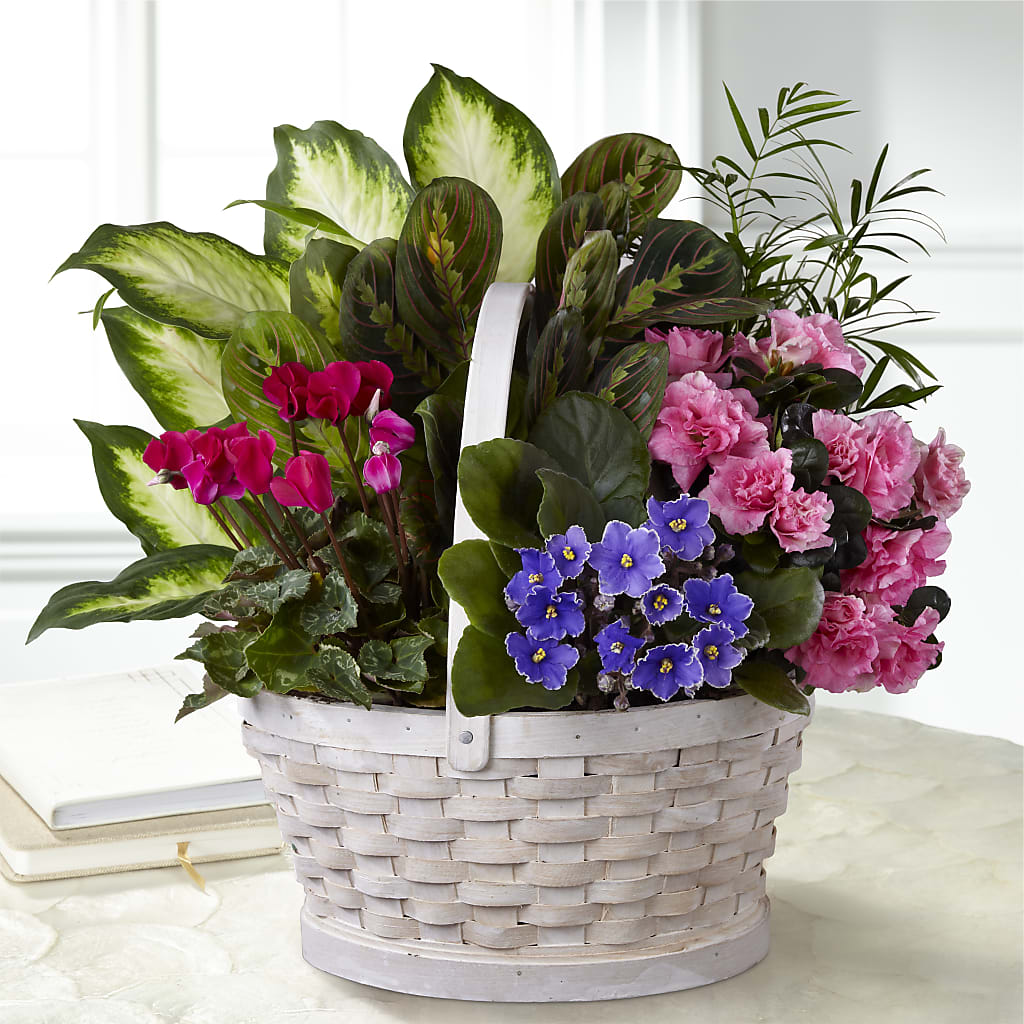 Peaceful Garden Planter – Edith Vl, Minneapolis MN
