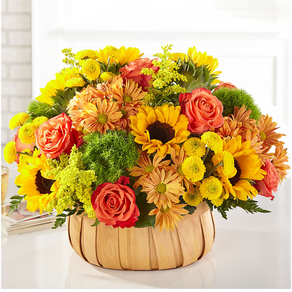 Harvest Sunflower Basket – Edith Vl, Minneapolis MN