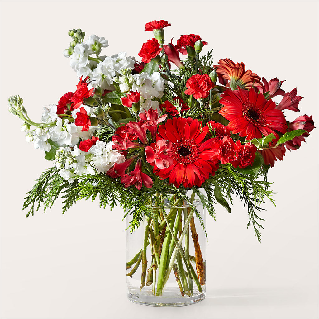 Holidaisy Bouquet – Edith Vl, Minneapolis MN