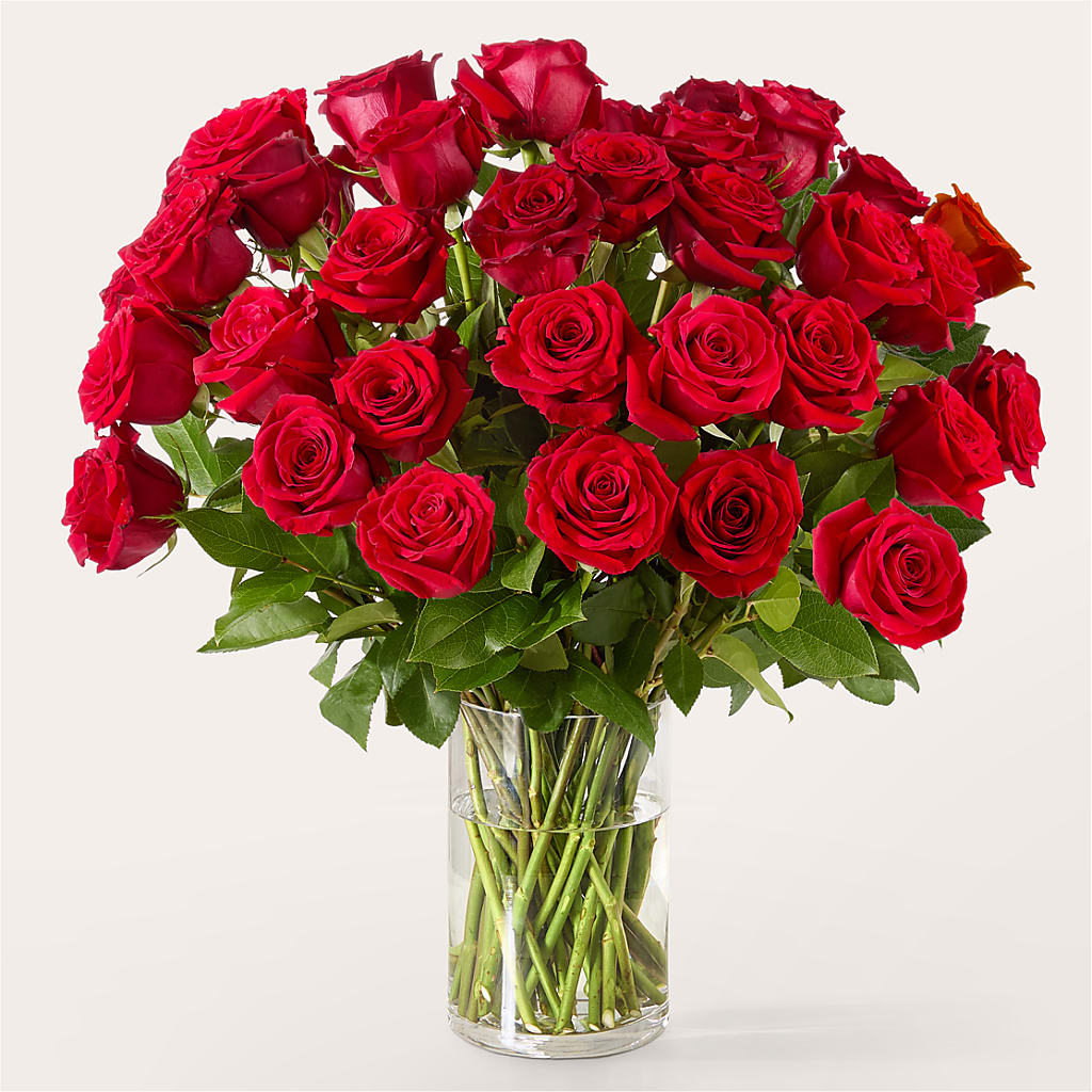The One Red Rose Bouquet – Edith Vl, Minneapolis MN