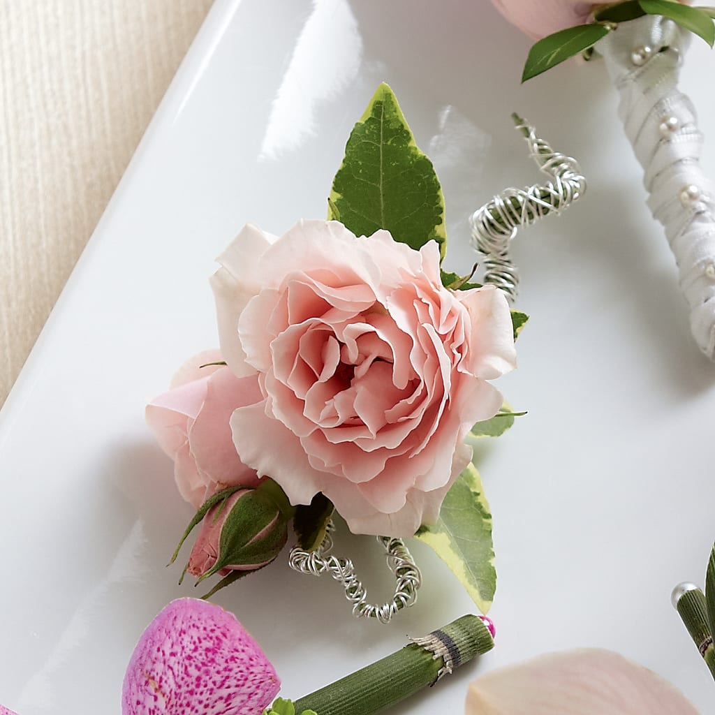 Pink Spray Rose Boutonniere – Edith Vl, Minneapolis MN