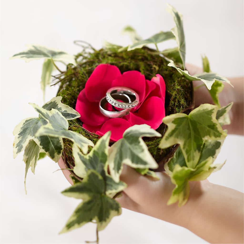 Lila Rose Ring Nest – Edith Vl, Minneapolis MN