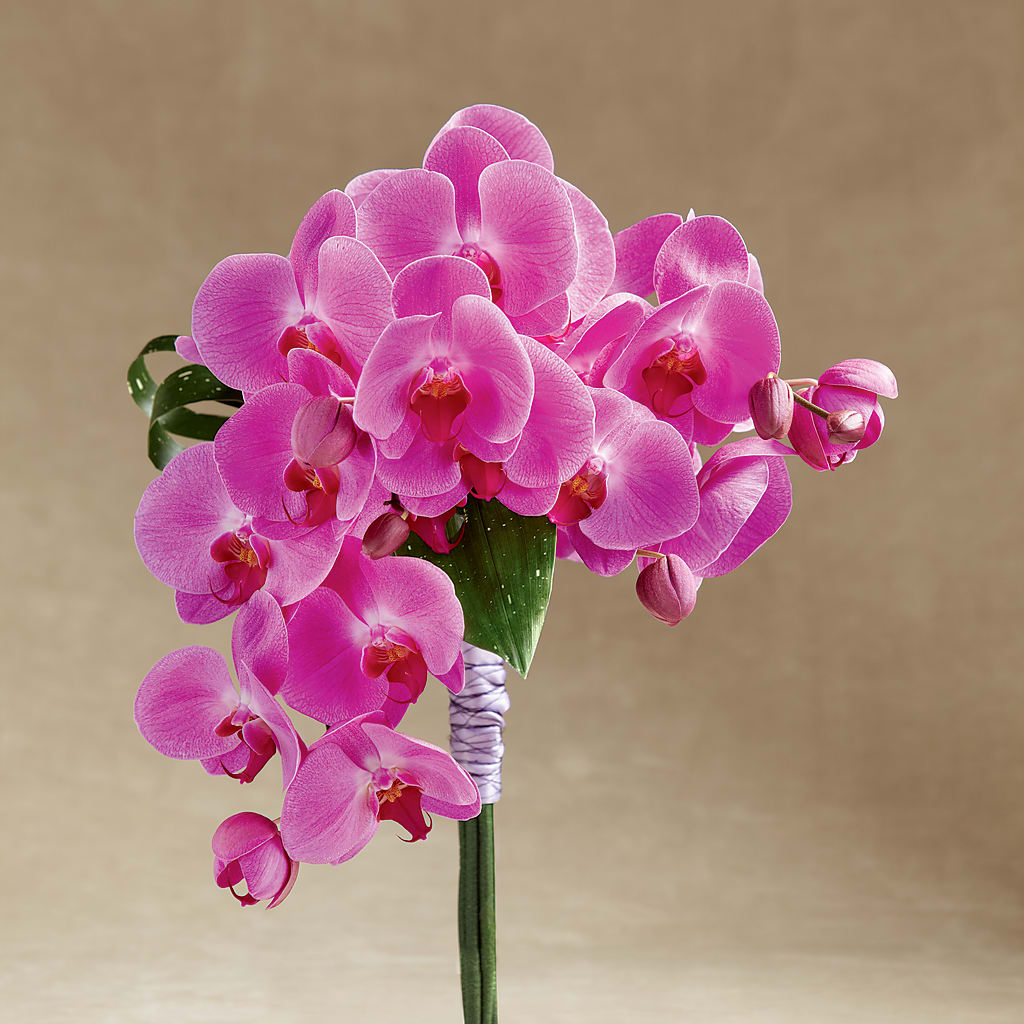 Glorious Bouquet – Edith Vl, Minneapolis MN