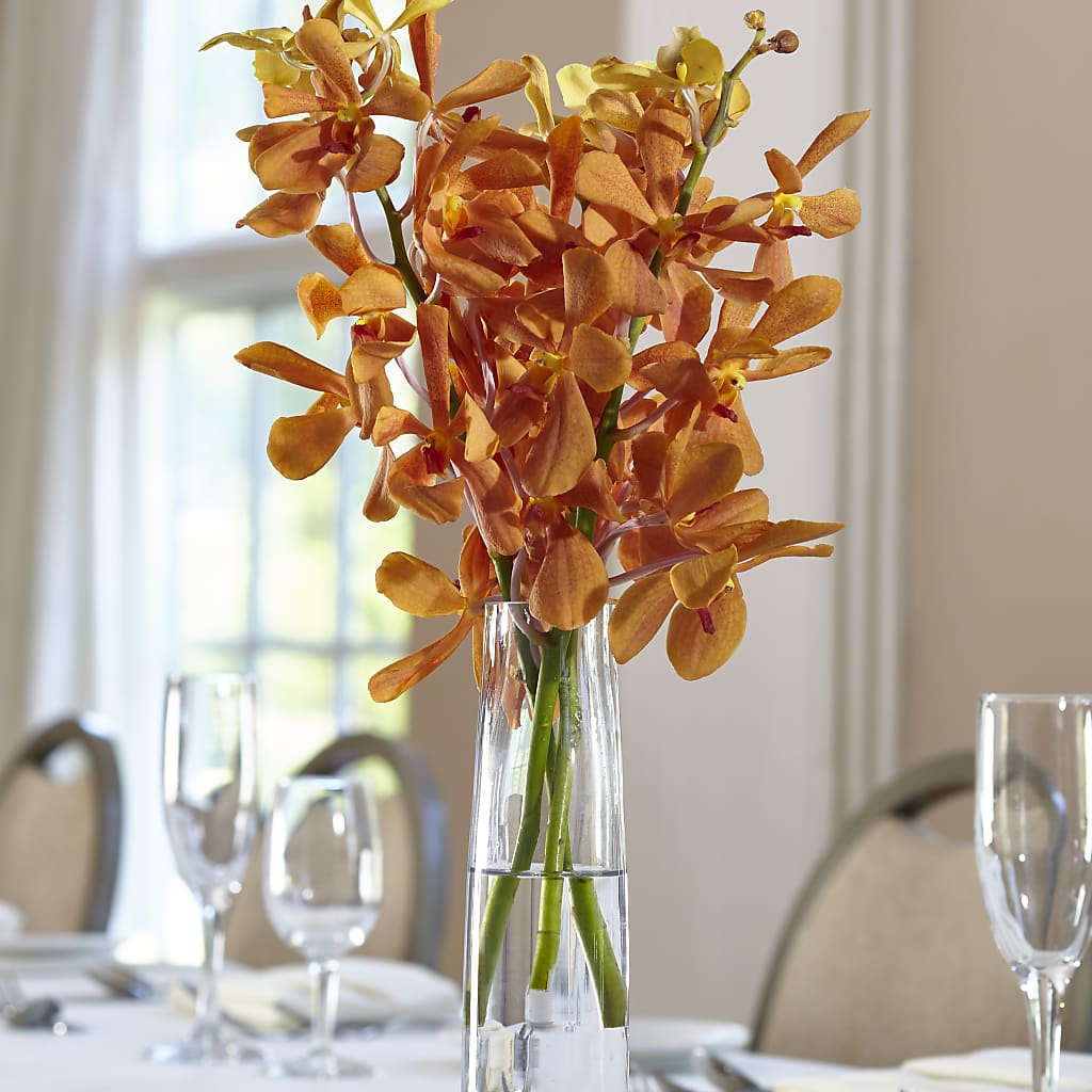 Orange Mokara Bud Vase – Edith Vl, Minneapolis MN