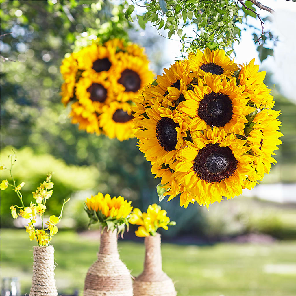 Sublime Garden Hanging Arrangement – Edith Vl, Minneapolis MN