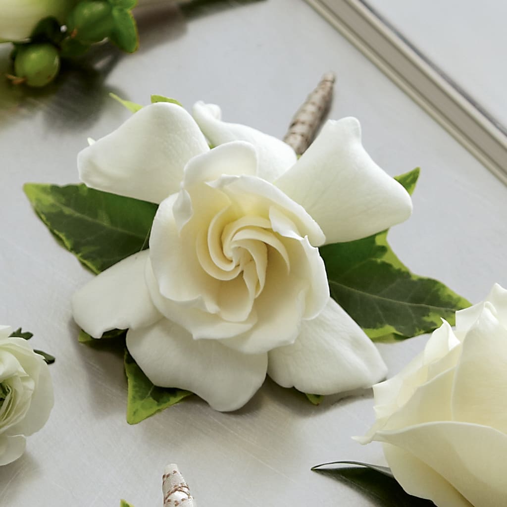Gardenia Boutonniere – Edith Vl, Minneapolis MN