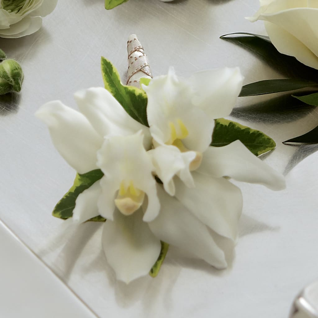 White Mini Cymbidium Boutonniere – Edith Vl, Minneapolis MN