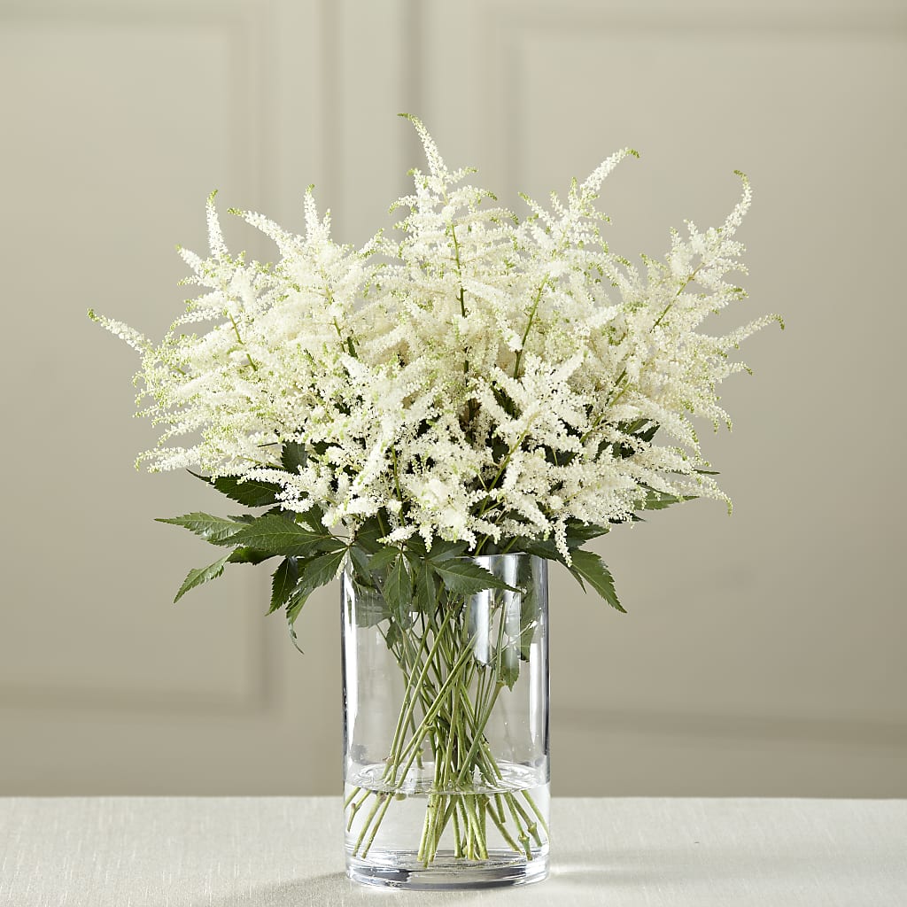 White Astilbe Bouquet – Edith Vl, Minneapolis MN