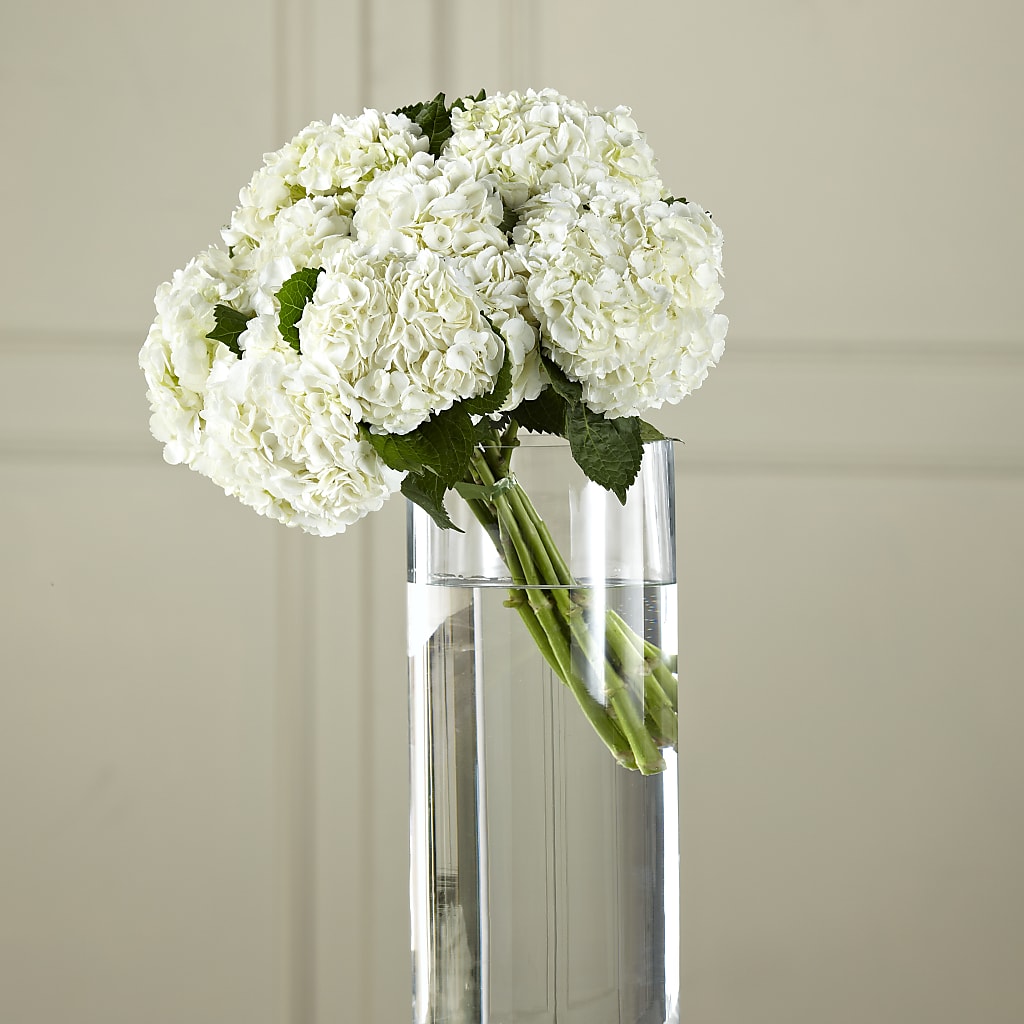 White Hydrangea Hand-Tied Bouquet – Edith Vl, Minneapolis MN