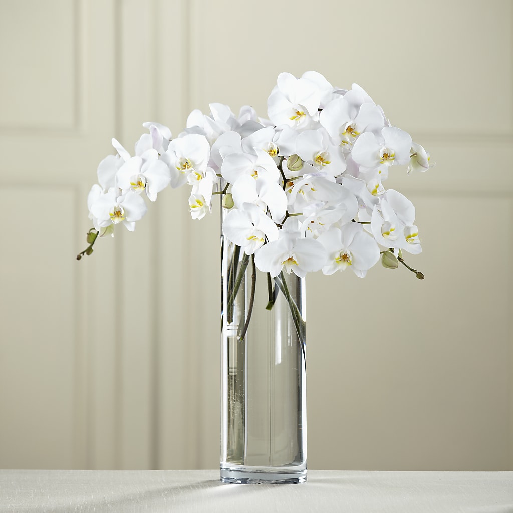 White Phalaenopsis Bouquet – Edith Vl, Minneapolis MN