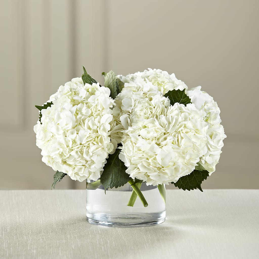 White Hydrangea Bouquet – Edith Vl, Minneapolis MN