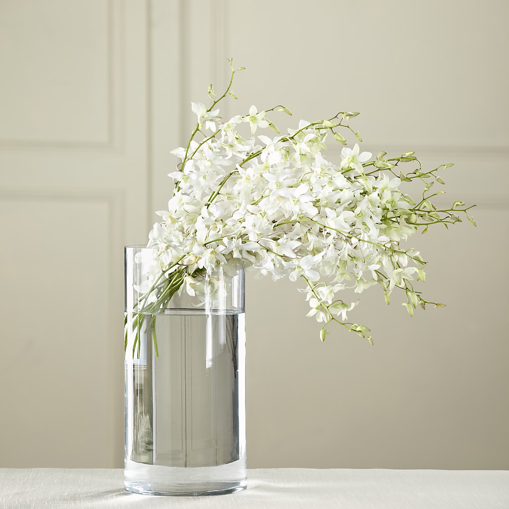 White Dendrobium Bouquet – Edith Vl, Minneapolis MN