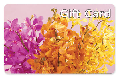 Gift Card –  Edith Vl, Minneapolis MN