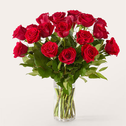 The One Red Rose Bouquet –  Edith Vl, Minneapolis MN