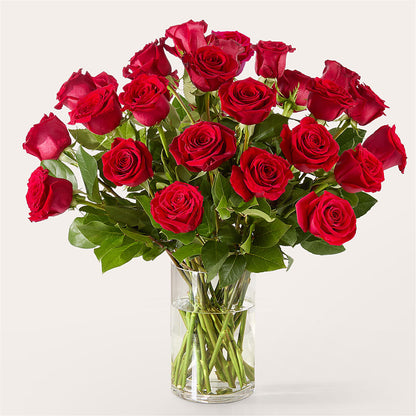The One Red Rose Bouquet –  Edith Vl, Minneapolis MN