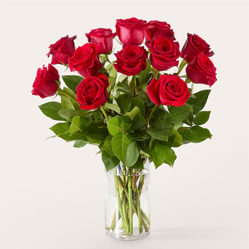 The One Red Rose Bouquet –  Edith Vl, Minneapolis MN