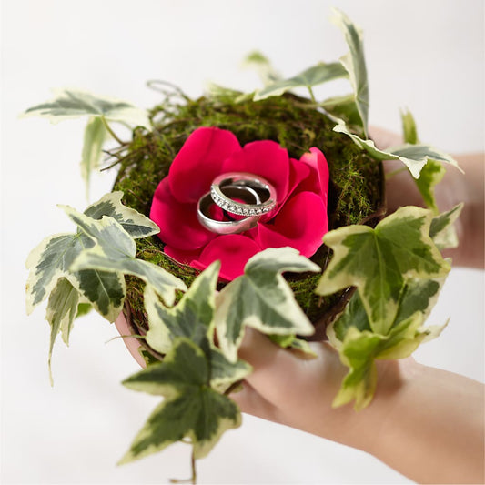 Nid de bague Lila Rose
